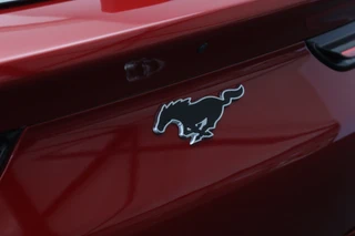 Ford Mustang Mach-E – thumbnail 22