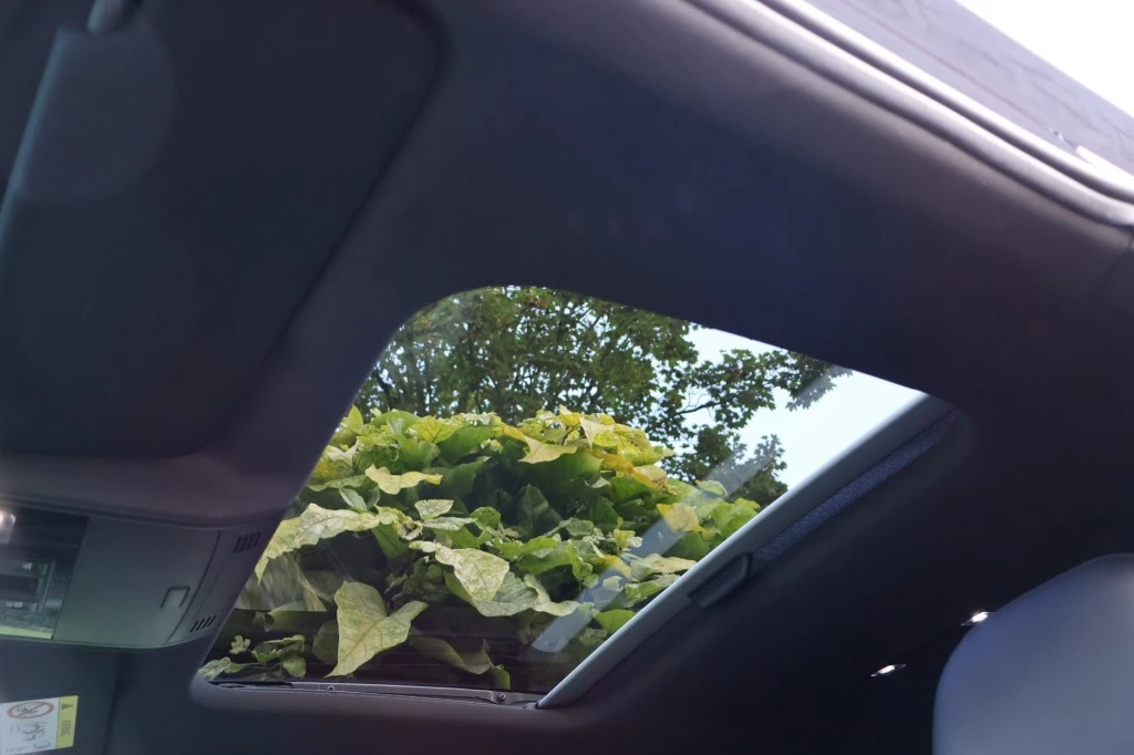Volkswagen Polo – foto 25