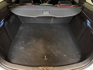 Ford Focus – thumbnail 36