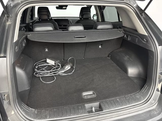 Kia Sportage – thumbnail 13