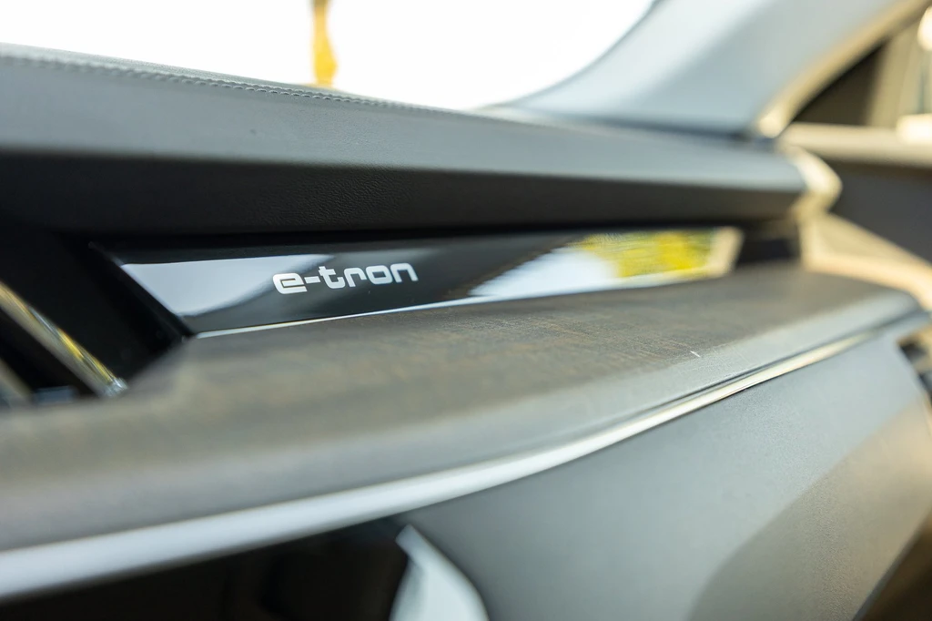 Audi e-tron – foto 58