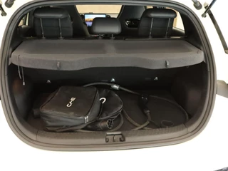 BYD DOLPHIN – thumbnail 43