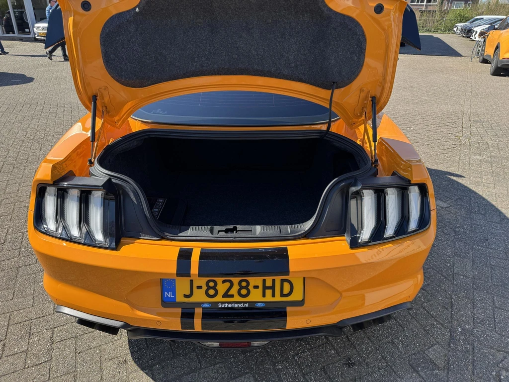 Ford Mustang – foto 11
