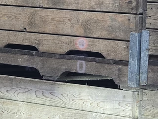 Škoda Octavia – thumbnail 19