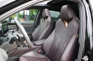 CUPRA Terramar – thumbnail 12