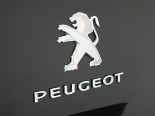 Peugeot Expert – thumbnail 14
