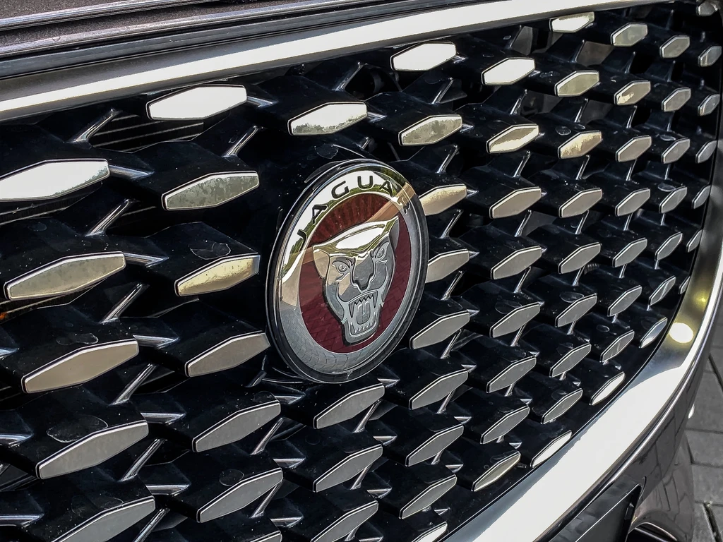 Jaguar F-PACE – foto 37