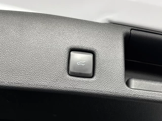 Ford Kuga – thumbnail 17