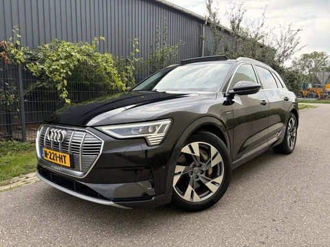 Audi e-tron 50 quattro Business edition Plus 71 kWh / AUTOMAAT / PANORMADAK / TREKHAAK / NAVI / MEMORY / 88dkm!