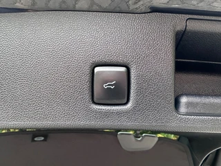 Ford Kuga – thumbnail 18