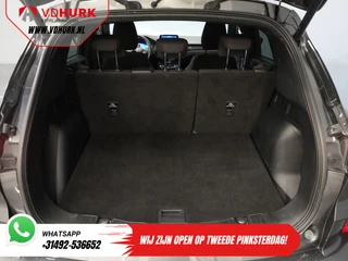 Ford Kuga – thumbnail 15