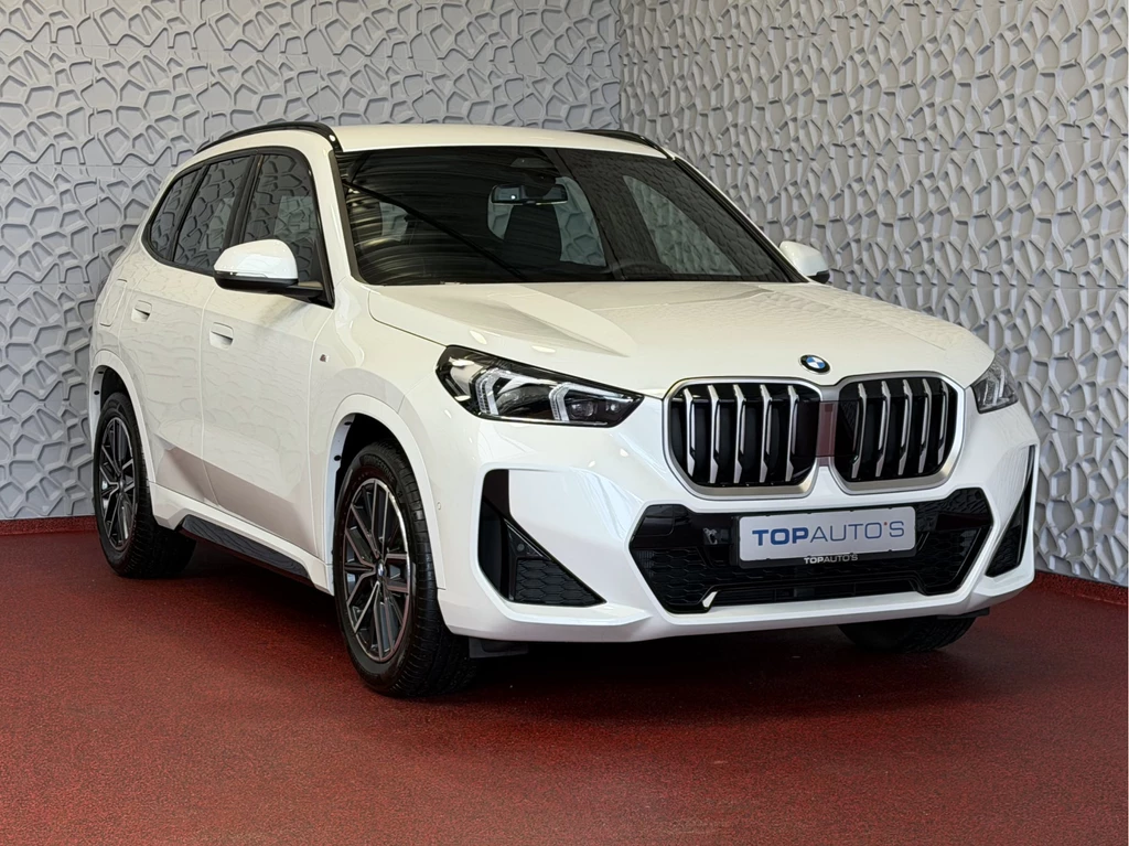 BMW X1 – foto 10