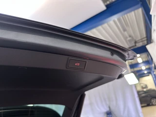 Škoda Octavia – thumbnail 20
