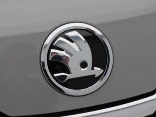 Škoda Kodiaq – thumbnail 14