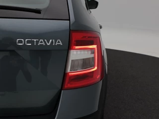 Škoda Octavia – thumbnail 13