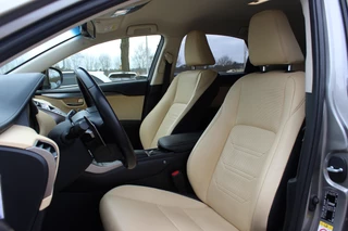 Lexus NX – thumbnail 10