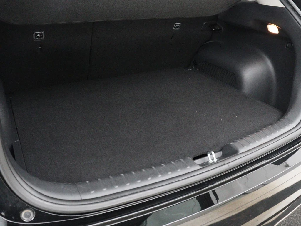 Kia Niro EV – foto 13