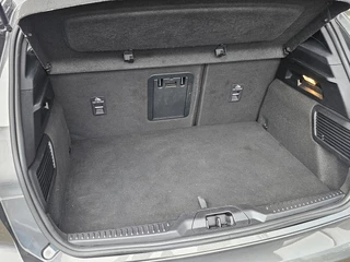 Ford Focus – thumbnail 11