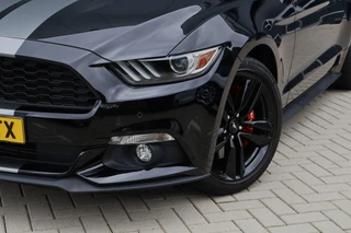 Ford Mustang – thumbnail 16