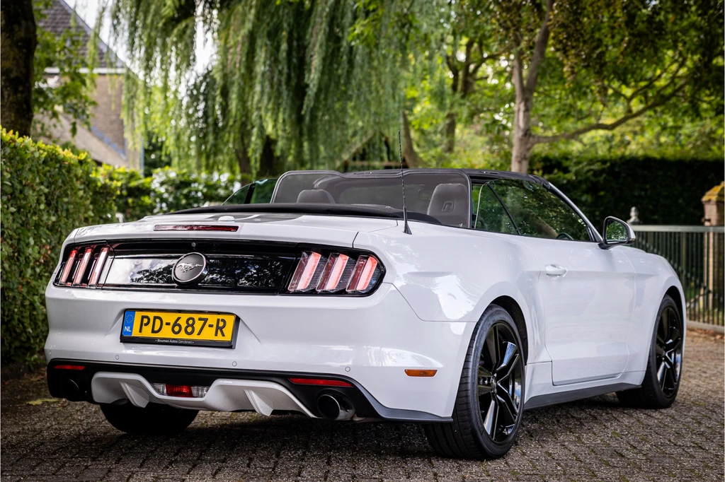 Ford Mustang – foto 8