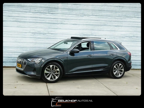 Audi E-tron 55 Quattro 95 kWh Luchtvering Leer Nav Trekhaak