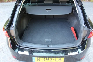 SEAT Leon – thumbnail 12
