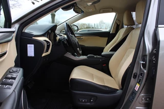 Lexus NX – thumbnail 12