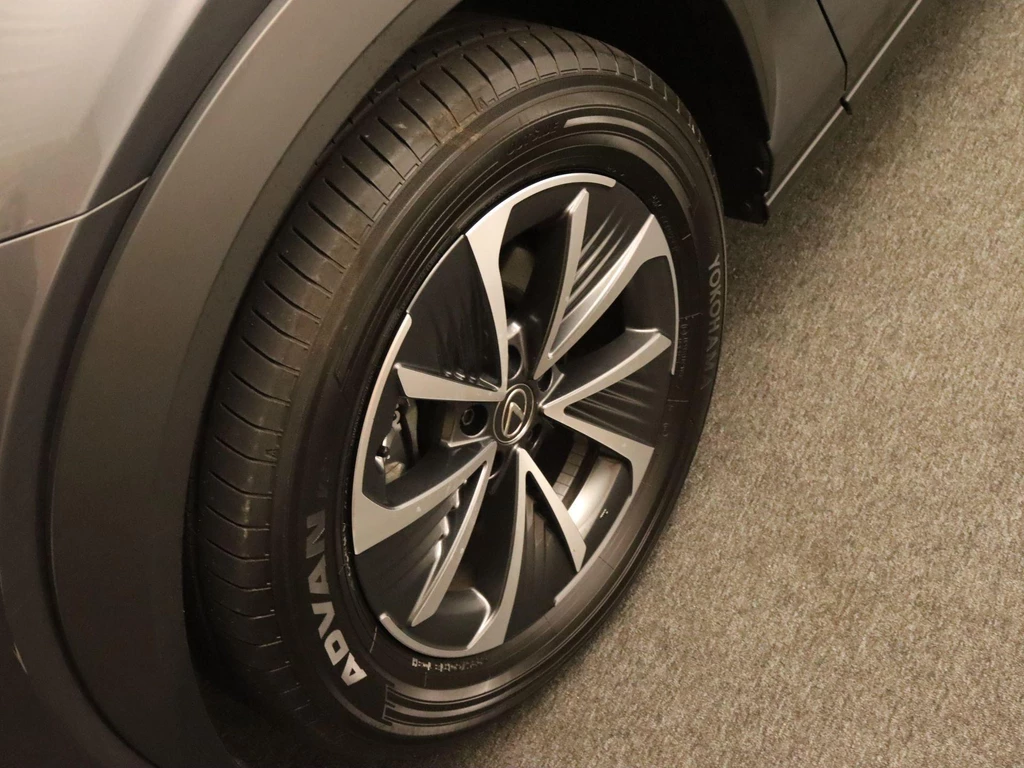 Lexus RZ – foto 13