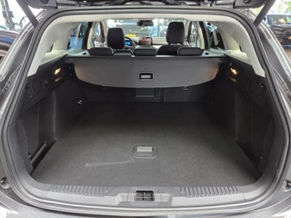 Ford Focus – thumbnail 44