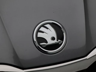Škoda Fabia – thumbnail 13
