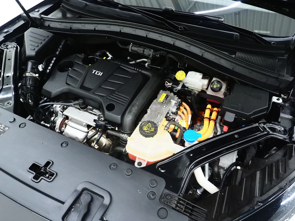 MG EHS – foto 12