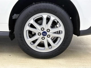 Ford Transit Connect – thumbnail 10