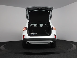 Ford Kuga – thumbnail 13