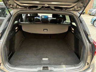 Ford Focus – thumbnail 12