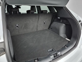 Ford Kuga – thumbnail 13