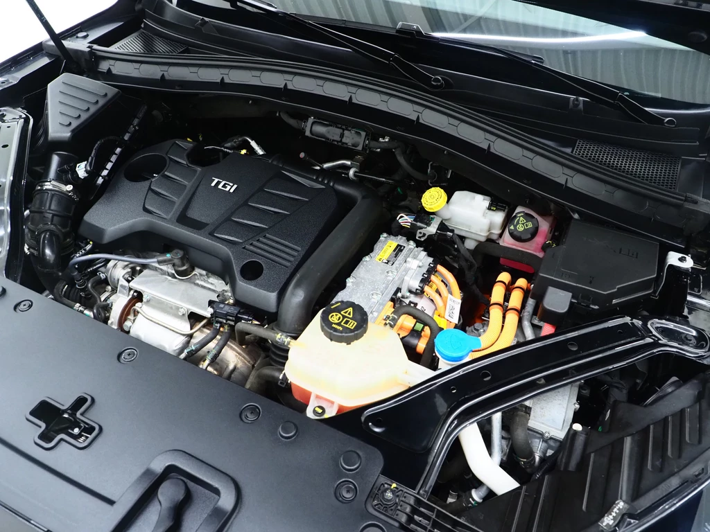 MG EHS – foto 11