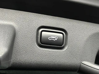 Kia Sportage – thumbnail 12