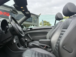 Volkswagen Beetle – thumbnail 12