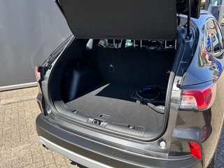 Ford Kuga – thumbnail 9