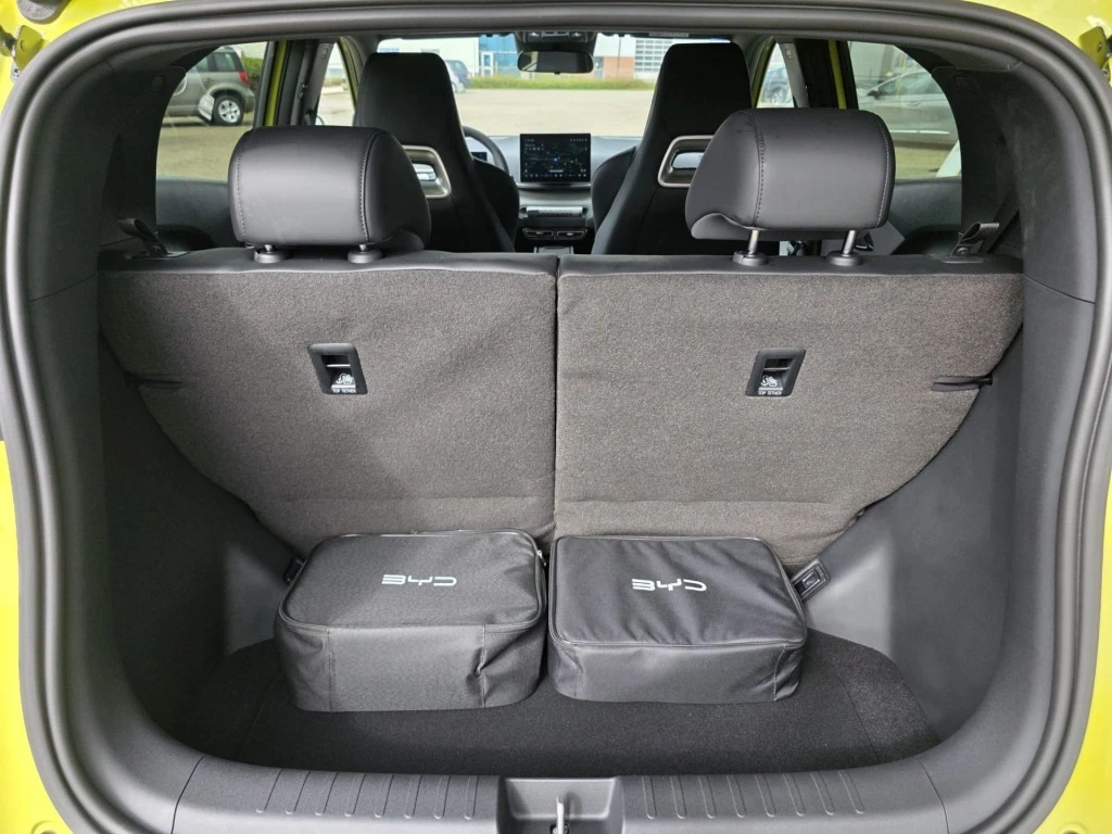 BYD DOLPHIN SURF – foto 24