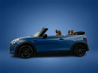 MINI Cooper Cabrio – thumbnail 3