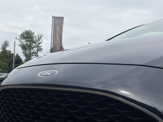 Ford Fiesta – thumbnail 30
