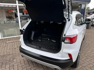 Ford Kuga – thumbnail 12