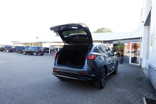 Lexus NX – thumbnail 14