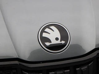 Škoda Kodiaq – thumbnail 11