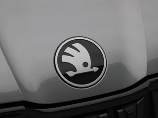 Škoda Kodiaq – thumbnail 15