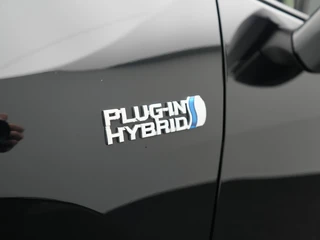 Suzuki Across – thumbnail 41