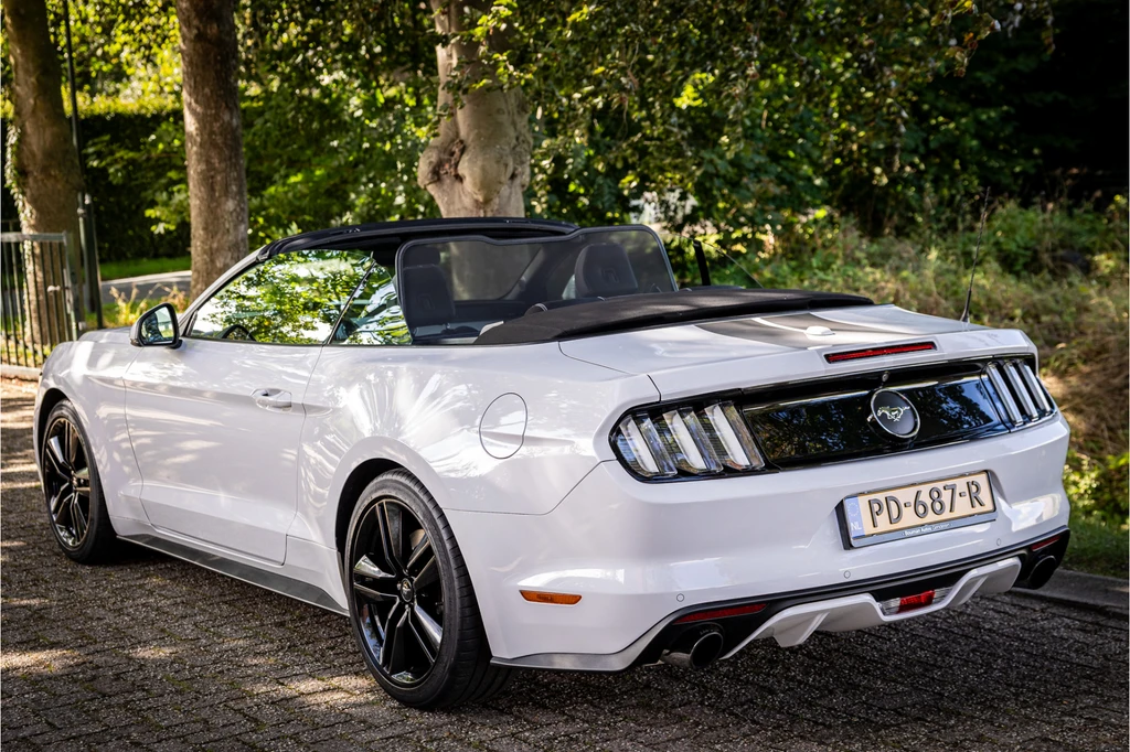 Ford Mustang – foto 5