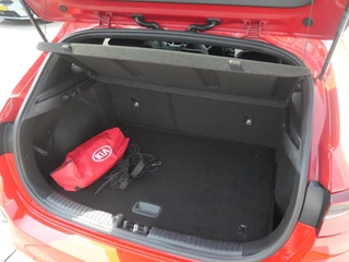 Kia Ceed – thumbnail 10