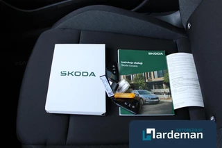 Škoda Octavia – thumbnail 24